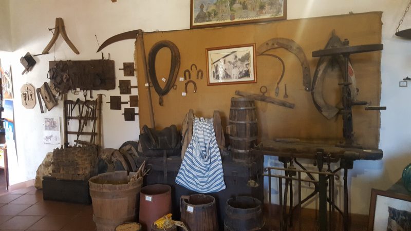 Zungri_museum, museum_felswohnungen_zungri, kalabrien, bauernleben, alltagskultur, altes_handwerk